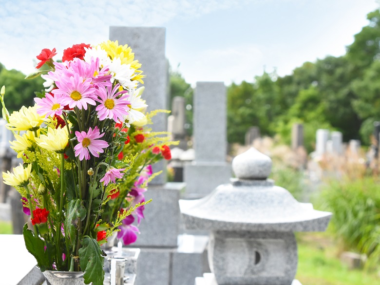 墓地がないため新しく探したい