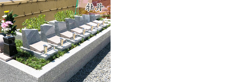 樹木葬墓｜５名様まで個別納骨可能プラン